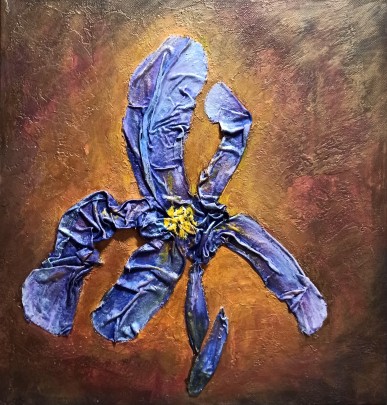 "Ирис в лучах солнца"